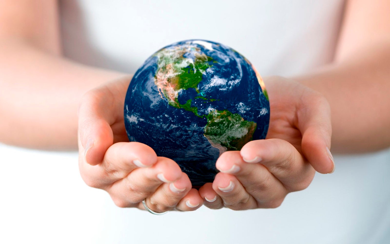 World in Hands World in Hands