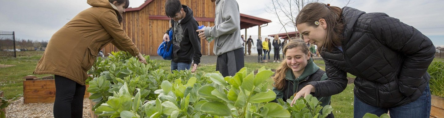 Students at Bethel Farm as part of the College of Education's food issues research