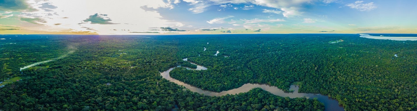 morning in the amazon rainforest