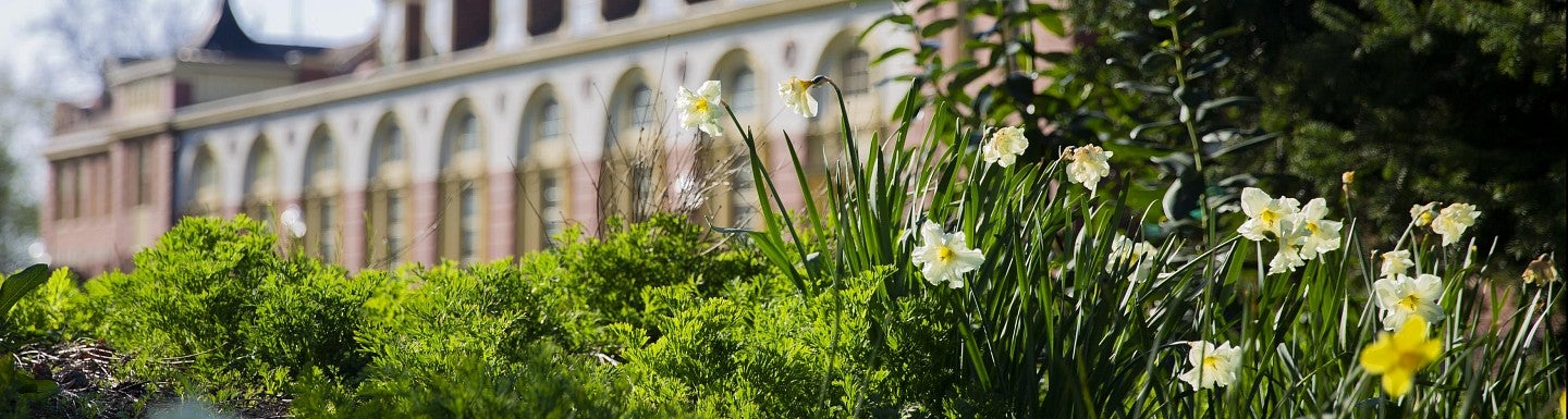 close up of plants and flowers in front of Gerlinger Hall on the University of Oregon campus