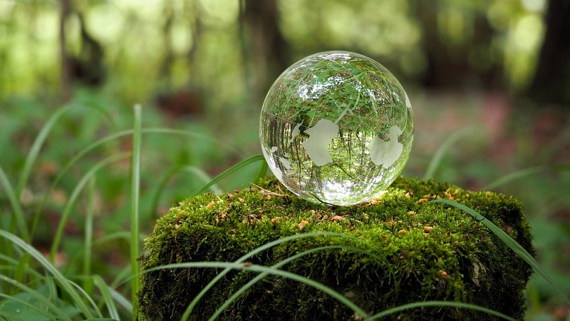 reflective globe in forest