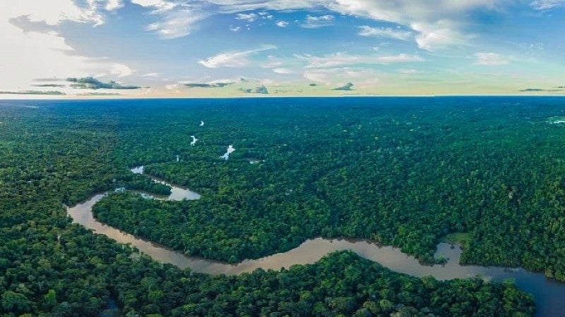 Aerial view of the Amazon rain forest and the Amazon river