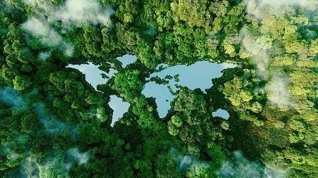 Overhead view of a jungle with bodies of water that are in the shape of a flat world map showing all the continents 