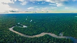 Aerial view of the Amazon rain forest and the Amazon river